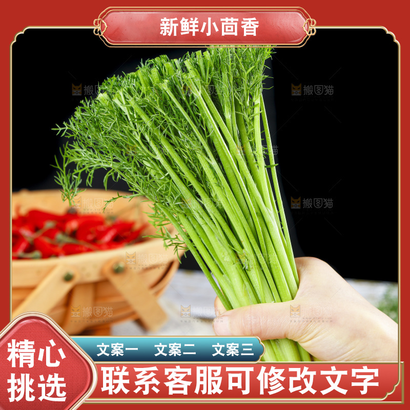 手里拿着小茴香