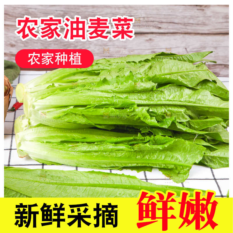 白格子底上放着新鲜油麦菜