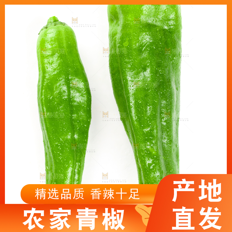 白底上的大青椒