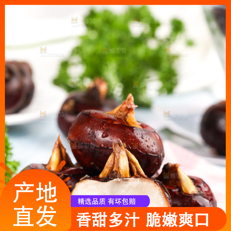 彩底上放着红马蹄