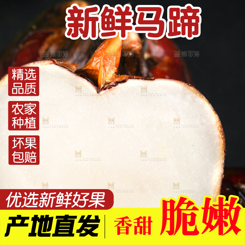 黑石板上的荸荠