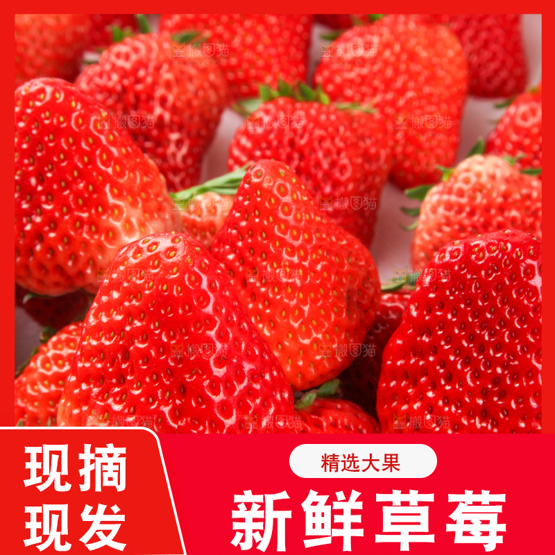 箱子里的奶油草莓