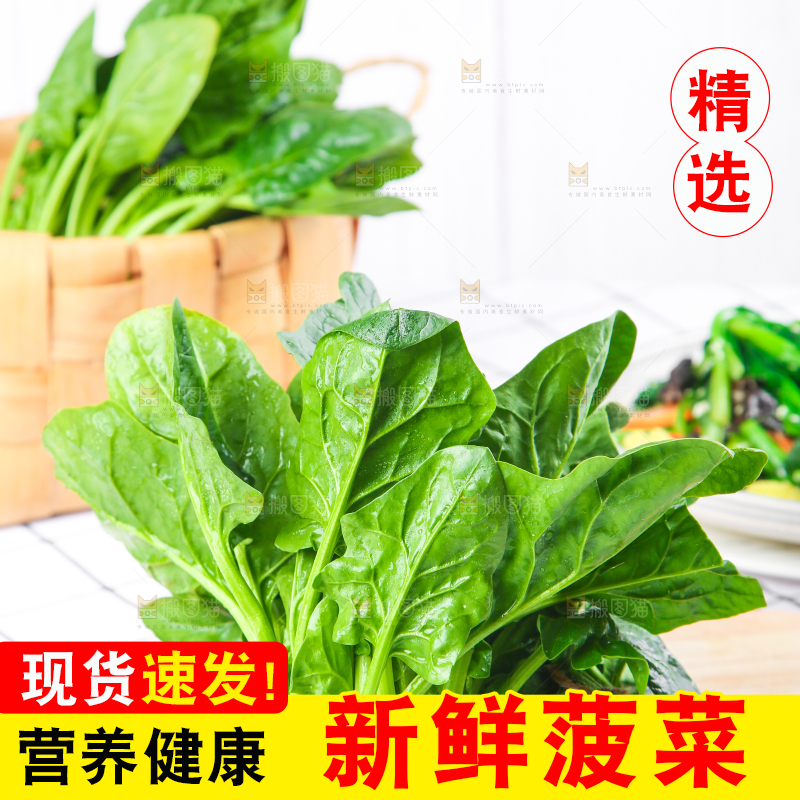 白格子底上的嫩菠菜