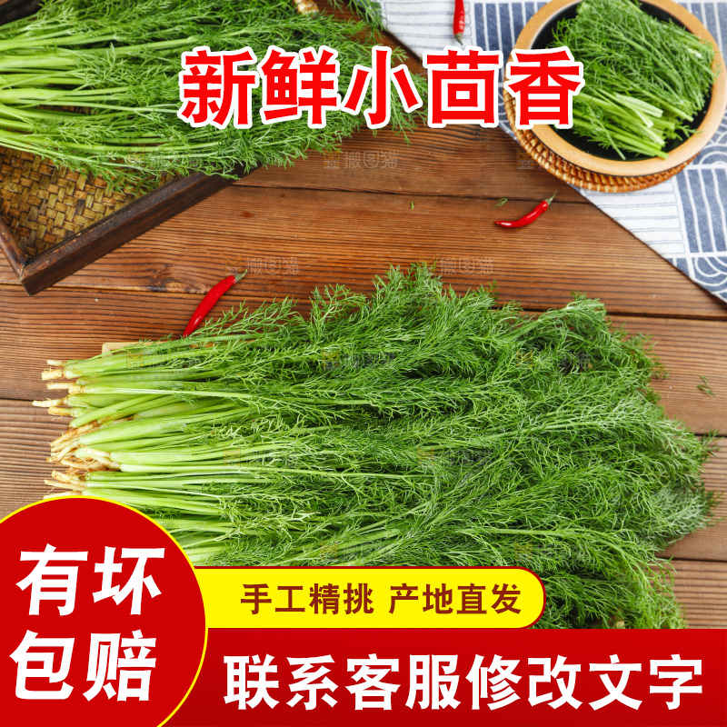 木板上的土茴香