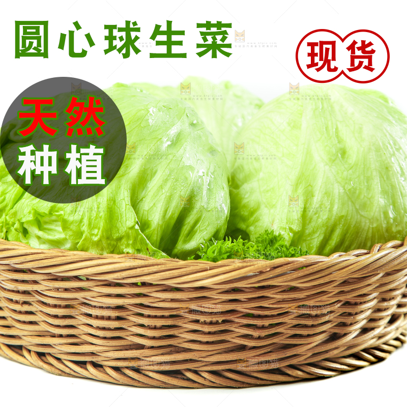 篮子里装着农家圆生菜