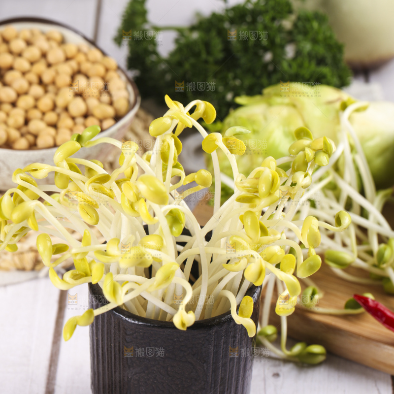 瓶子里放着黄豆芽