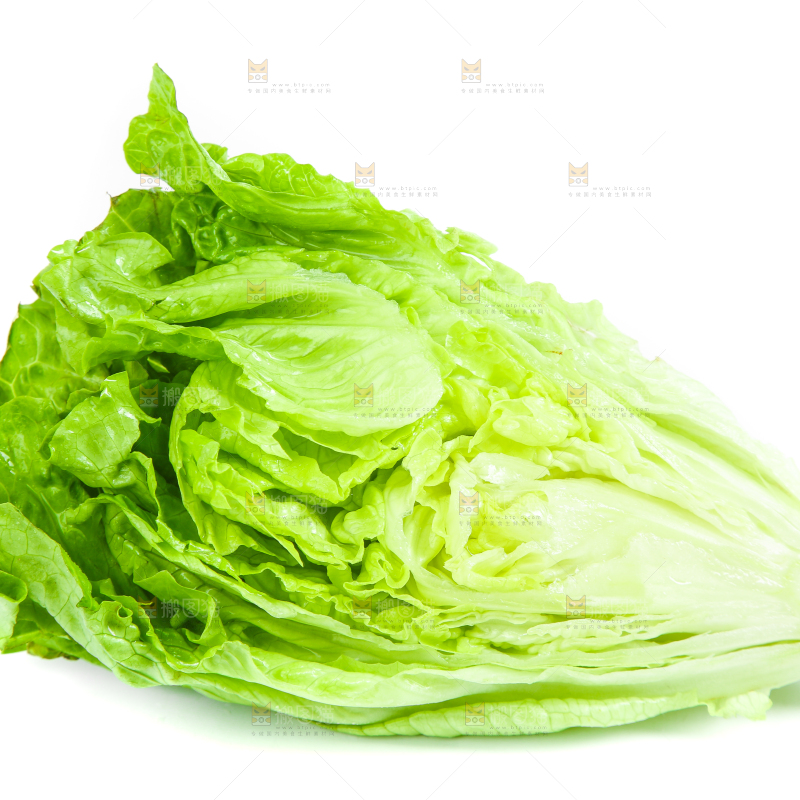 白底上的生菜