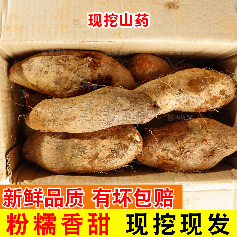 箱子里装着糯米山药