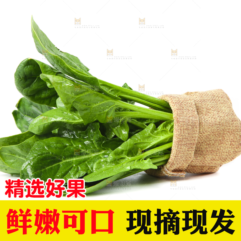 篮子里的红根菠菜