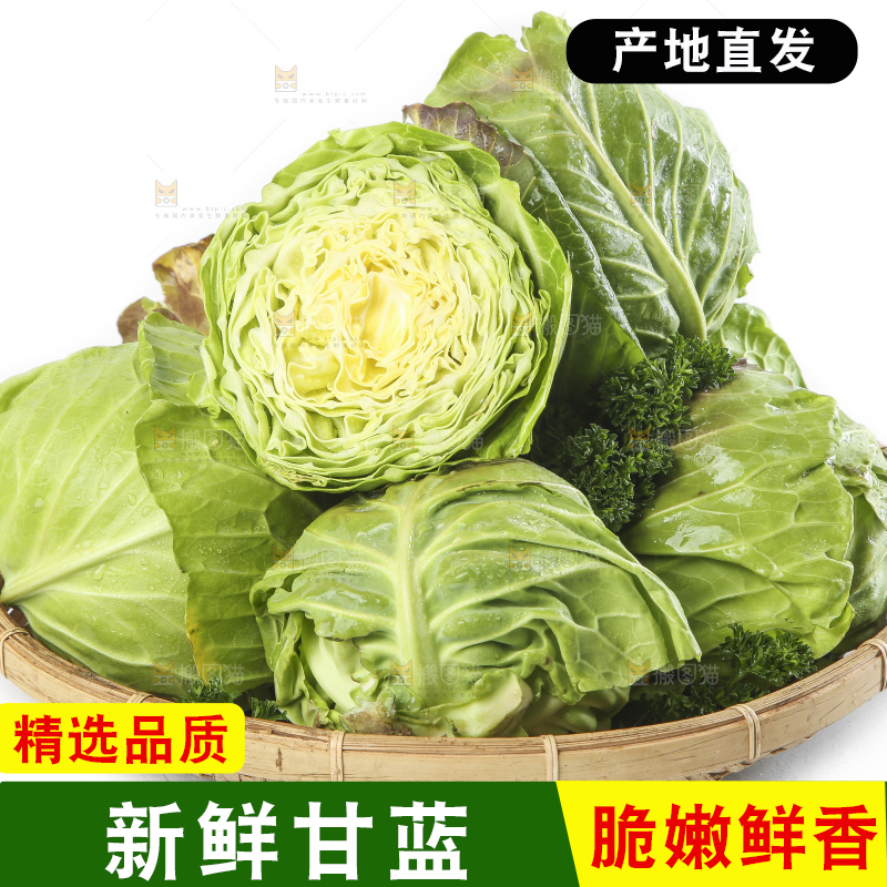 篮子里装着洋白菜