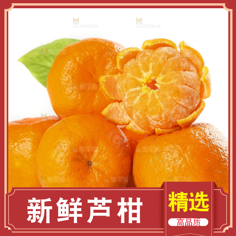 白底上的椪柑橘