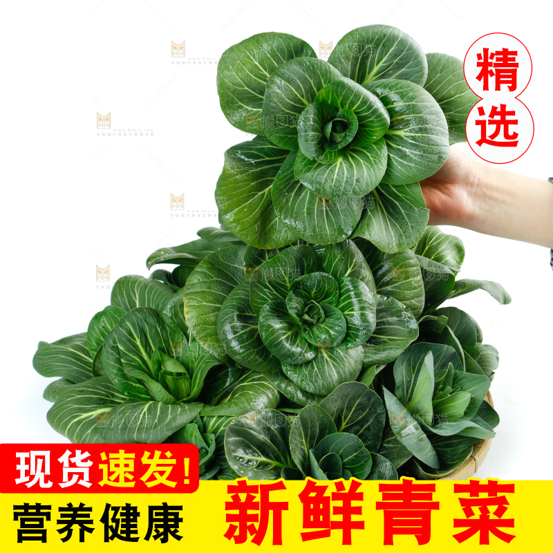 白底上的绿叶菜