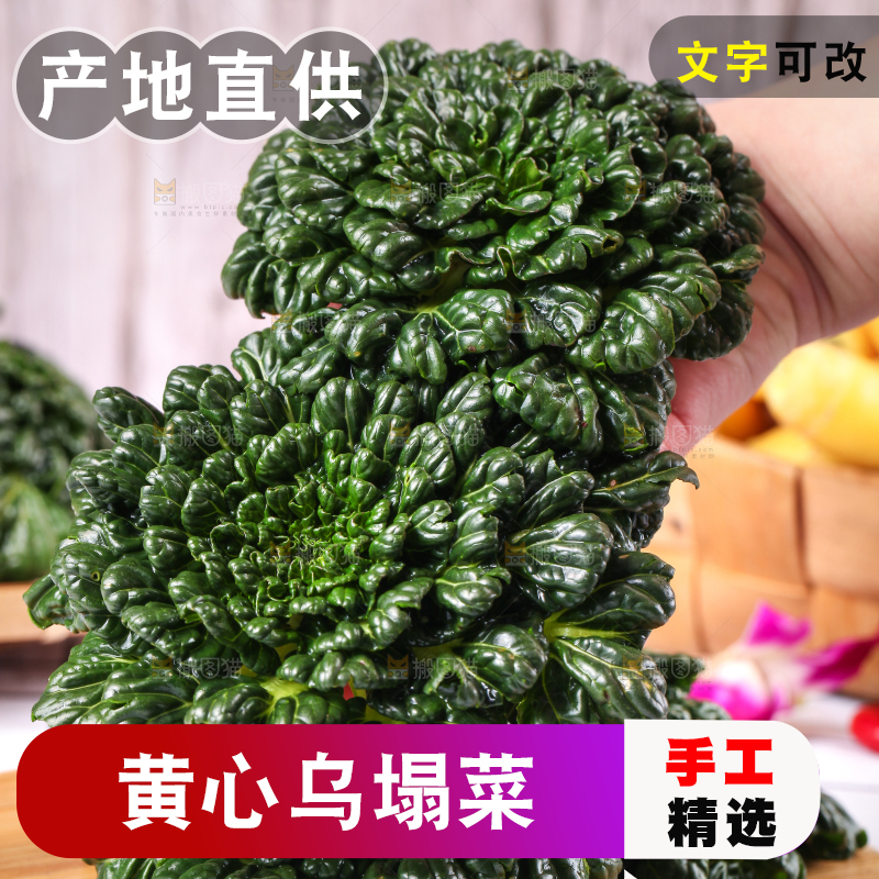 浅底上放着菊花菜