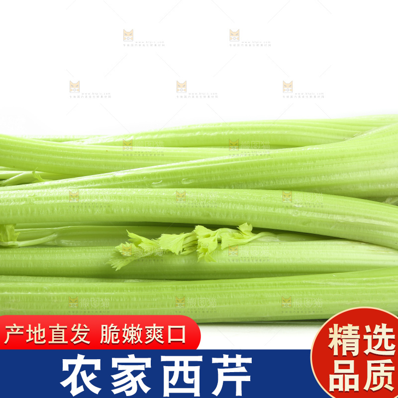 白底上的山东西芹
