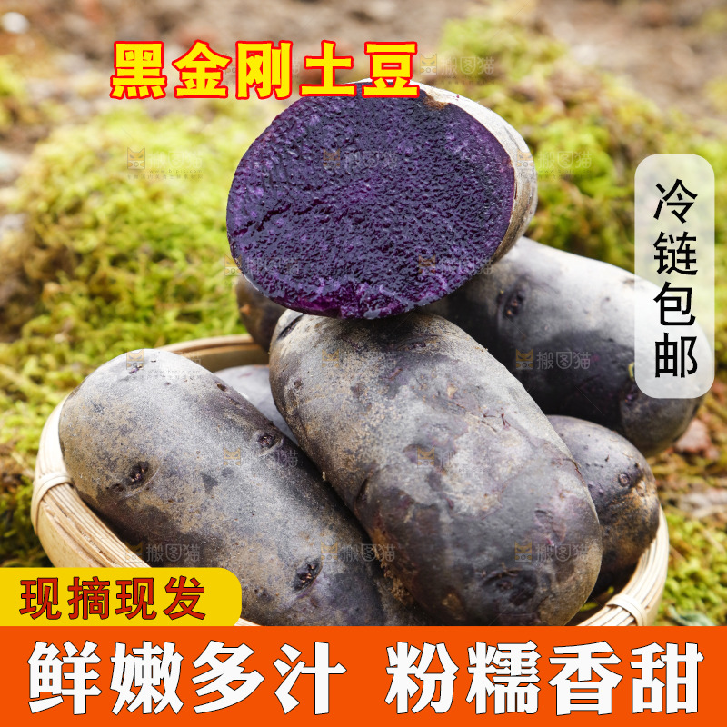 篮子里装青海黑土豆