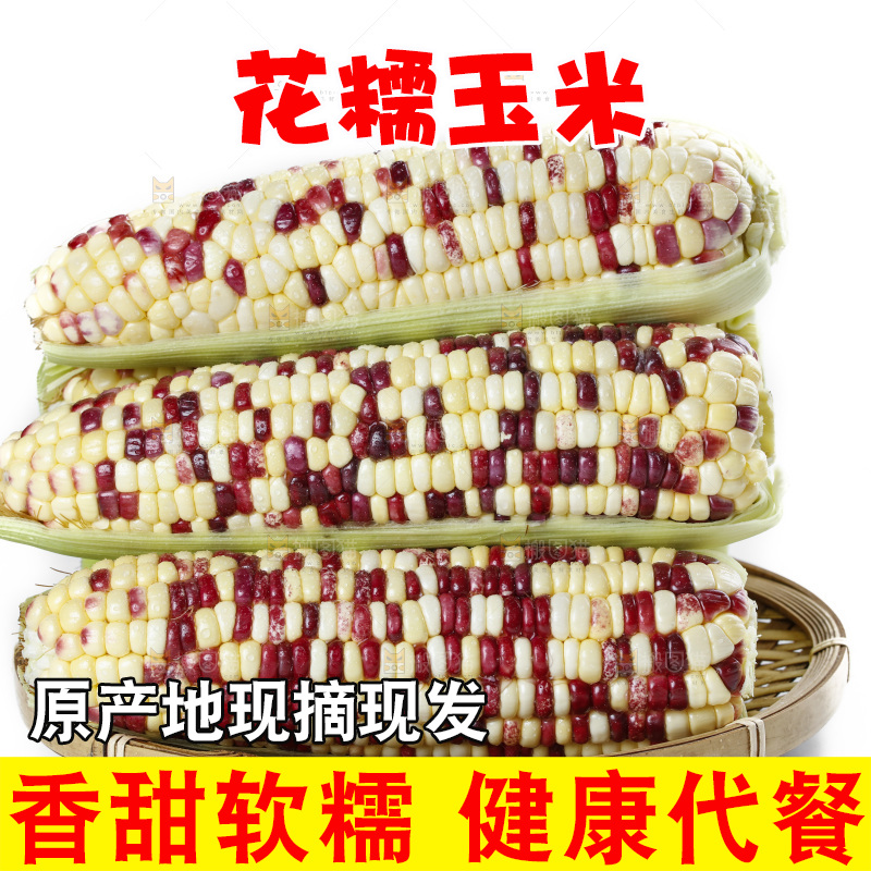 白底上放着一盘剥皮的花糯玉米