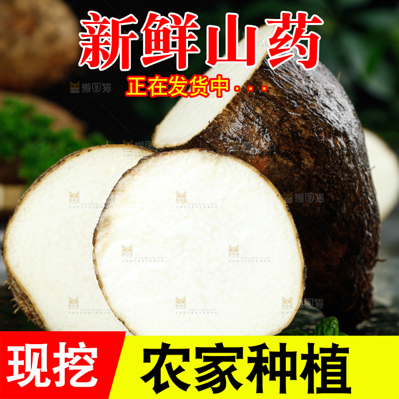 黑底上的金秤砣山药