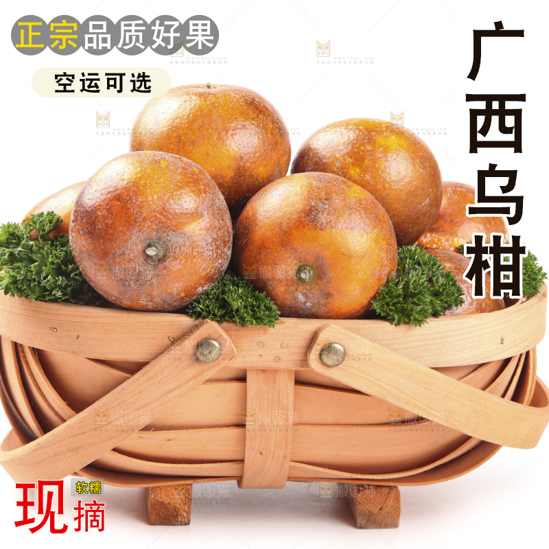 篮子里的广西乌柑