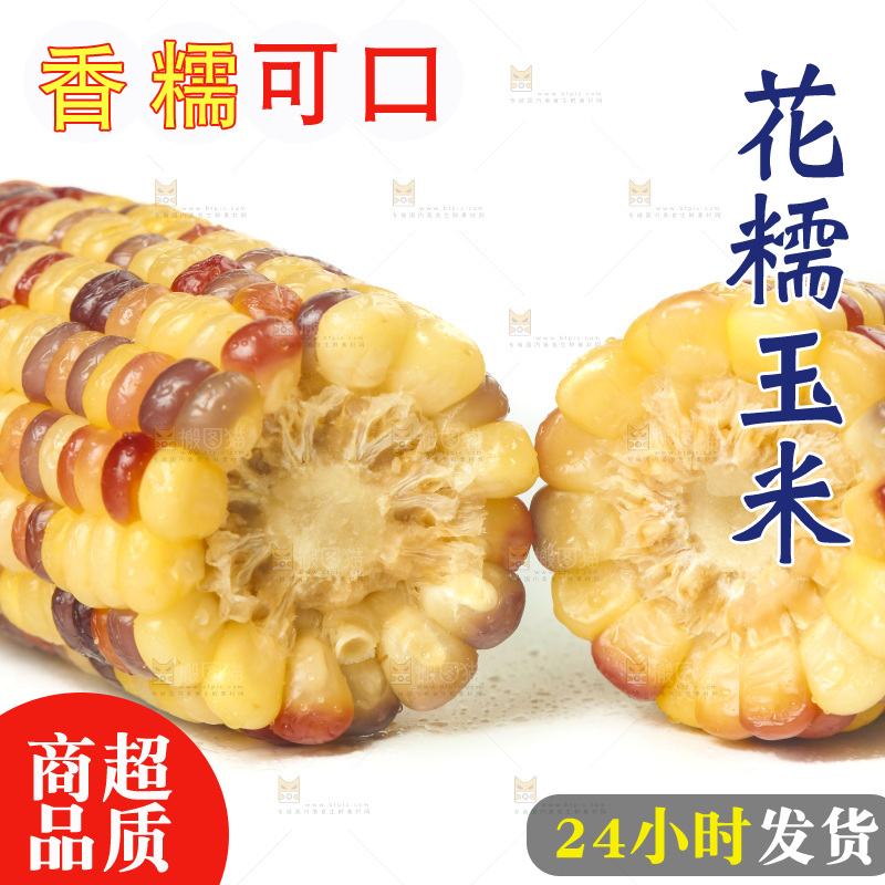 白底上放着切开的熟香糯玉米