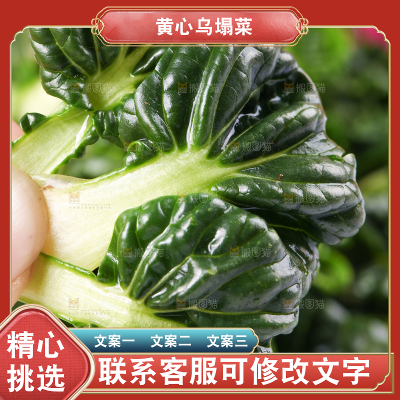 浅底上放着菊花菜