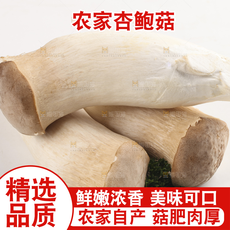 白底上放着新鲜杏鲍菇