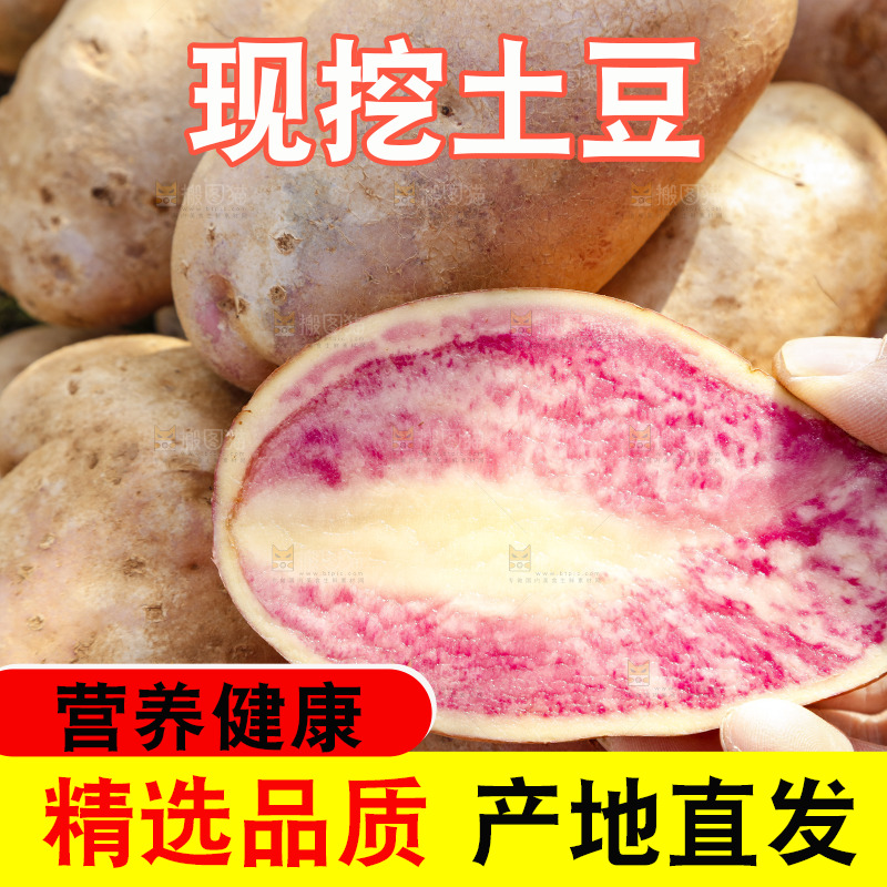 手里拿着丽江七彩土豆