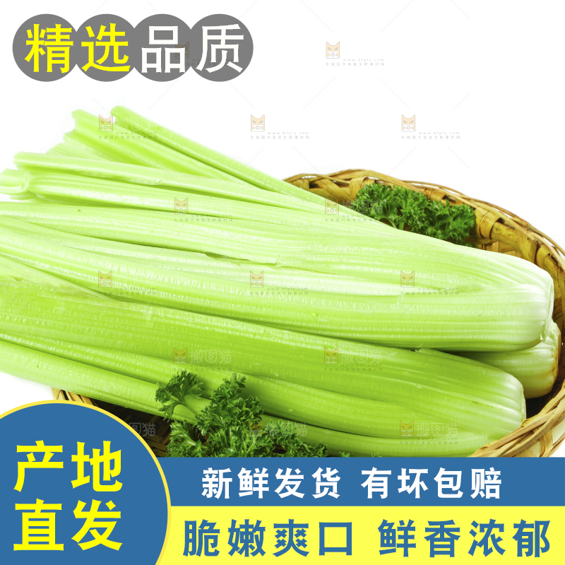 白底上放着西洋芹