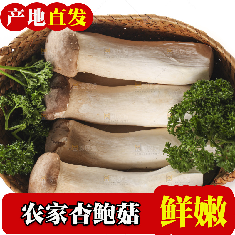 篮子里的菌菇