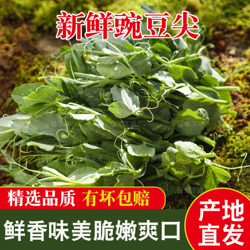 草地上放着豌豆尖