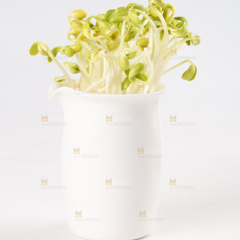 瓶子里放着黄豆芽