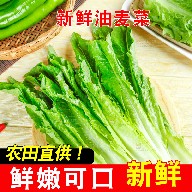 木板上的米香油麦菜