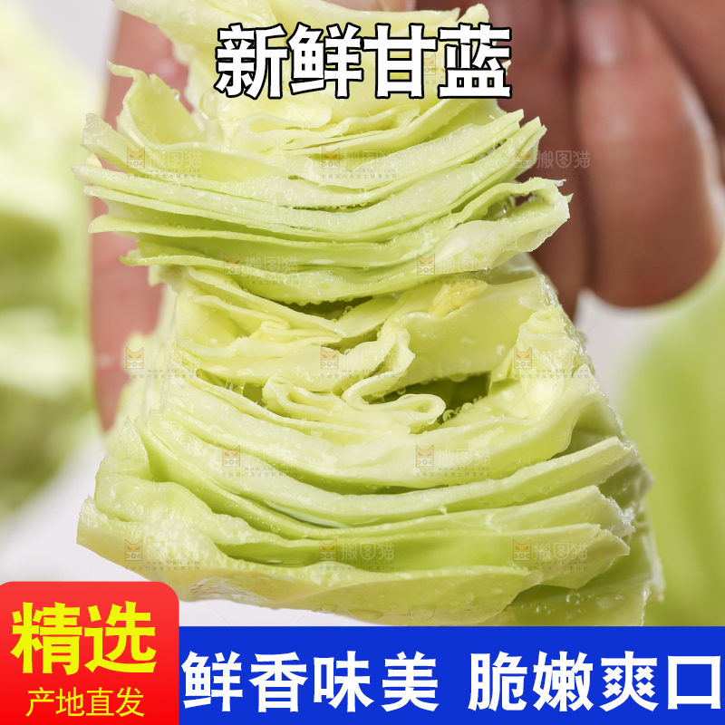 手里拿着洋白菜