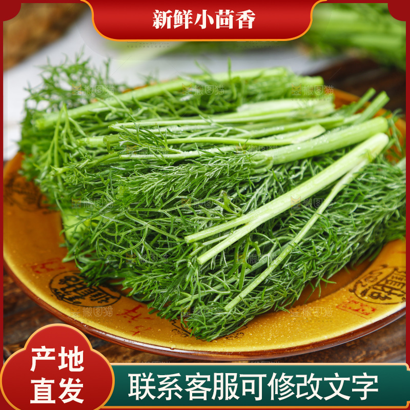 盘子里装着农家茴香菜