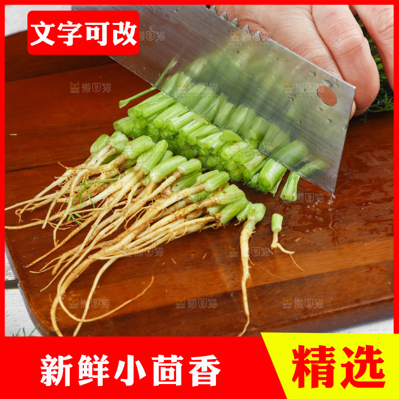 木板上的云南小茴香菜