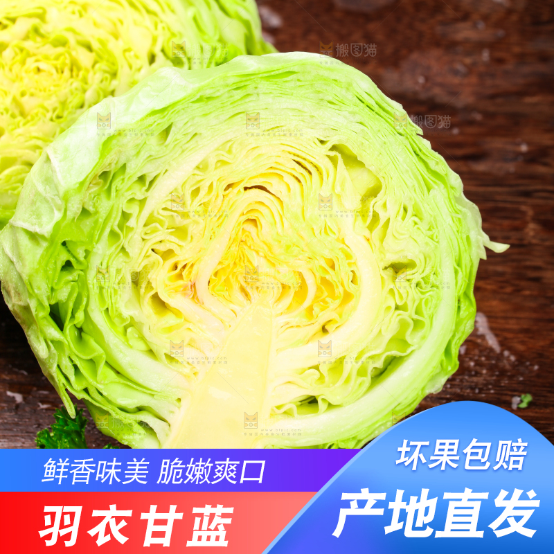 黑底上放着绿甘蓝