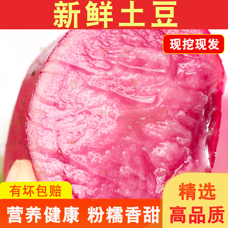 手里拿着云南红土豆