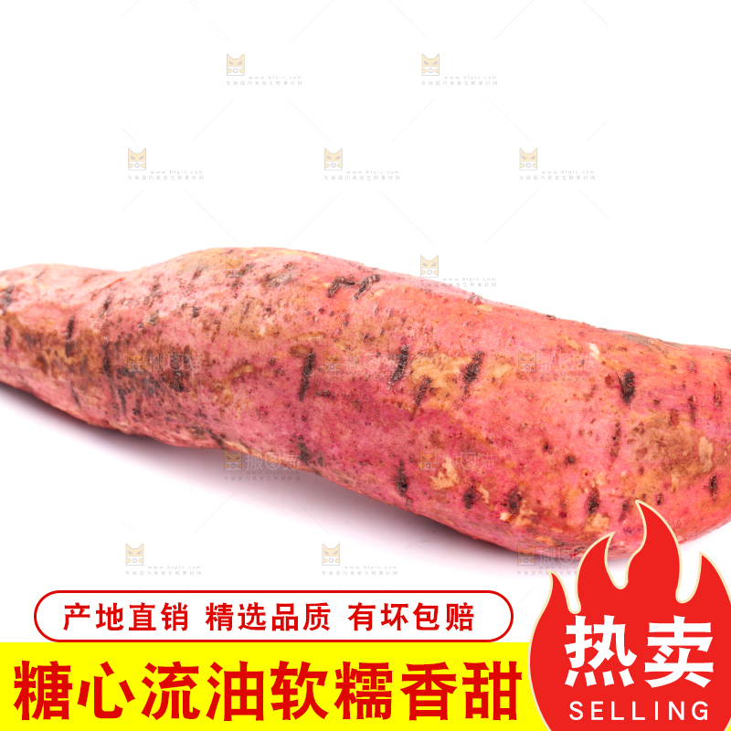 白底上蜜署