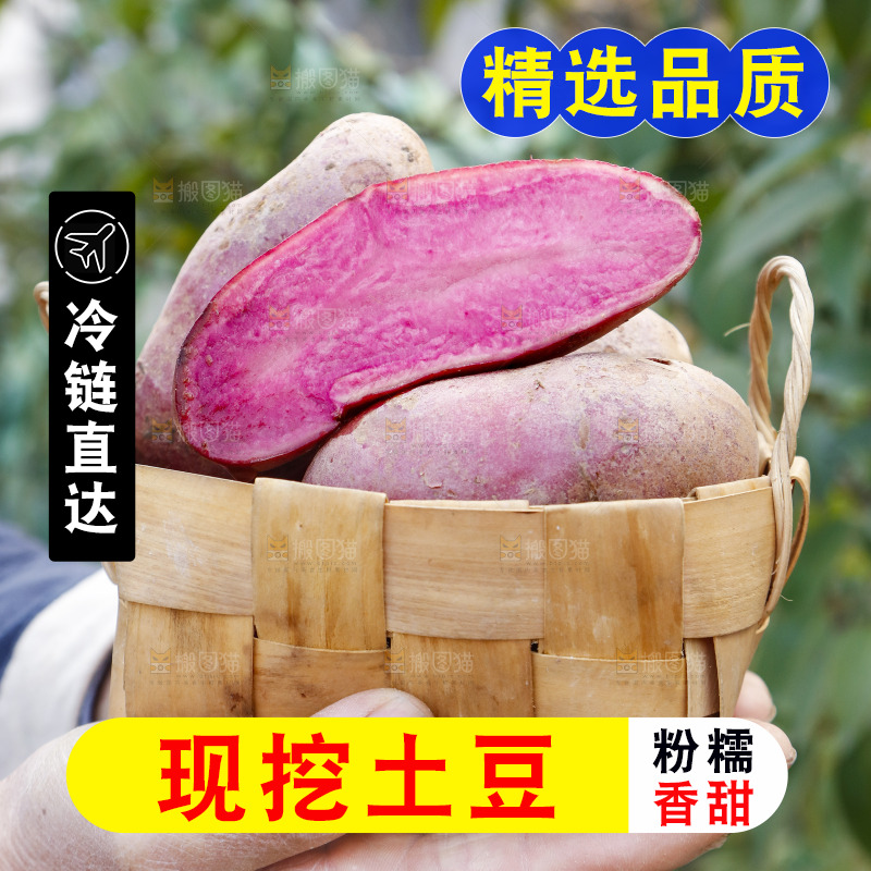 手里拿着新鲜红土豆