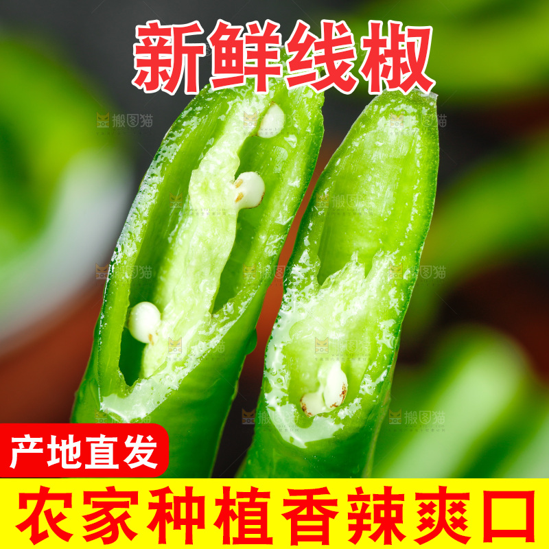 手里拿着二荆条辣椒