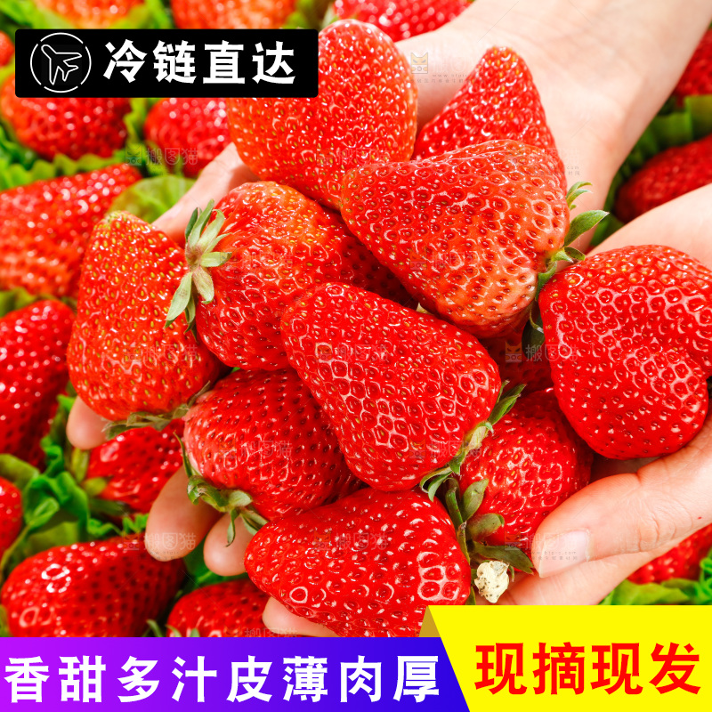 手里捧着草莓