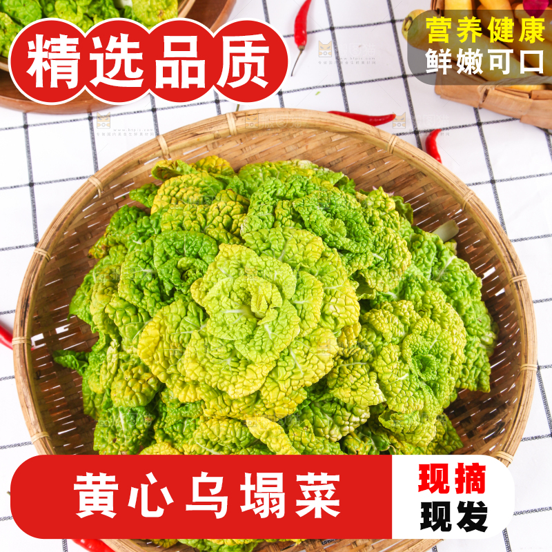篮子里装着乌塌菜