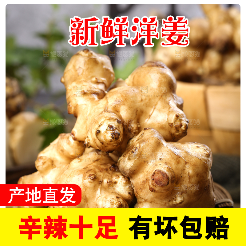 篮子里装着鬼子姜