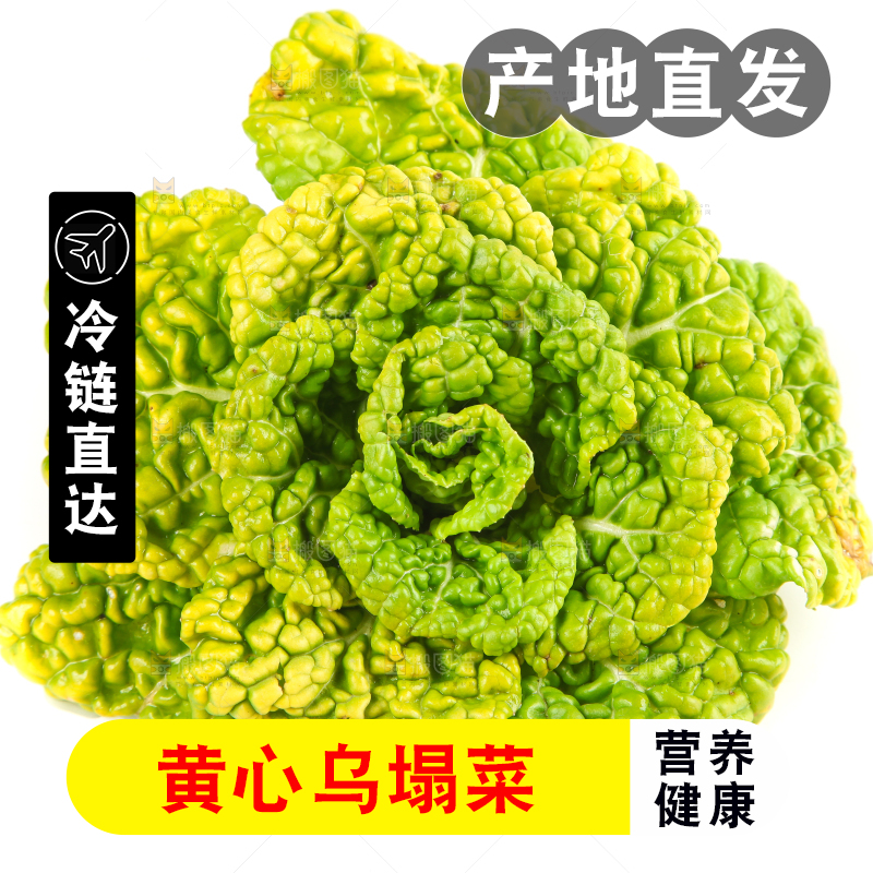 白底上摆放着黄心白菜