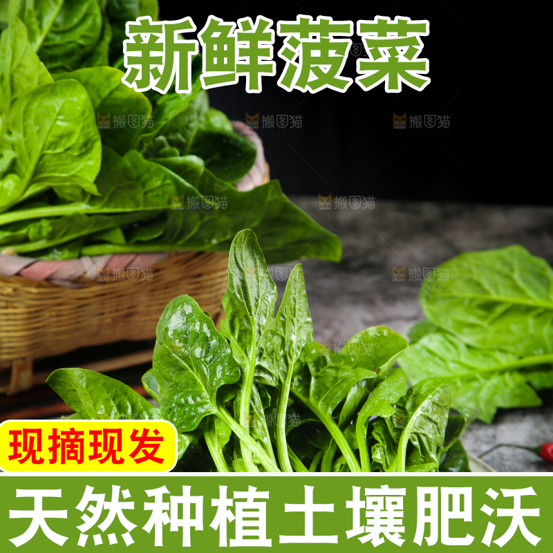 盘子里装着农家菠菜