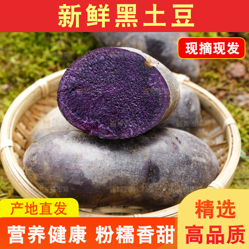 篮子里装青海黑土豆