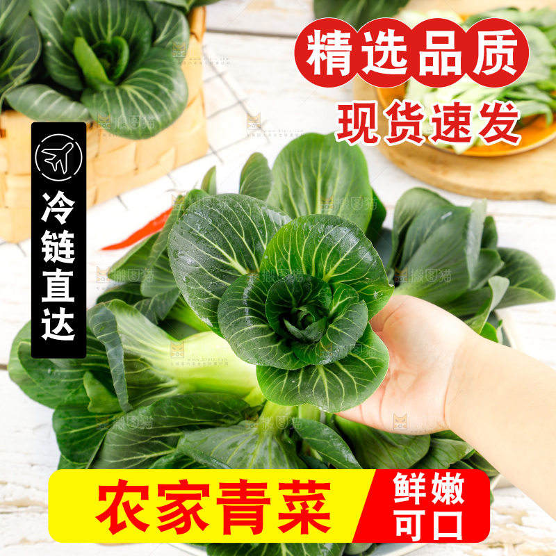 木板上摆放着农家青菜