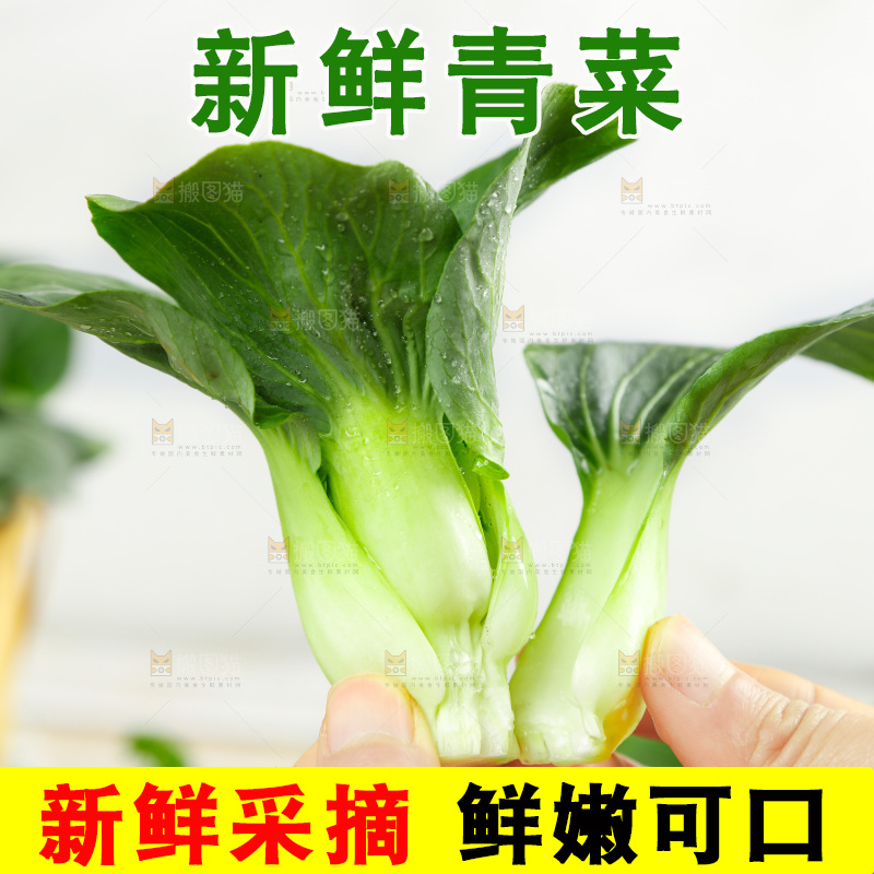 手里拿着新鲜青菜