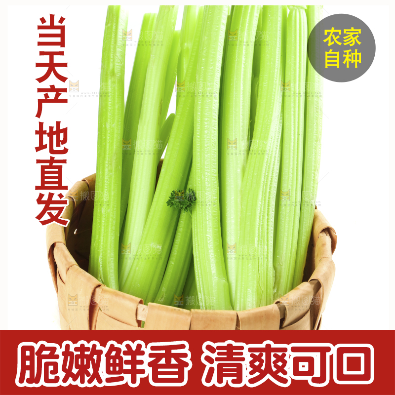 白底上放着西洋芹