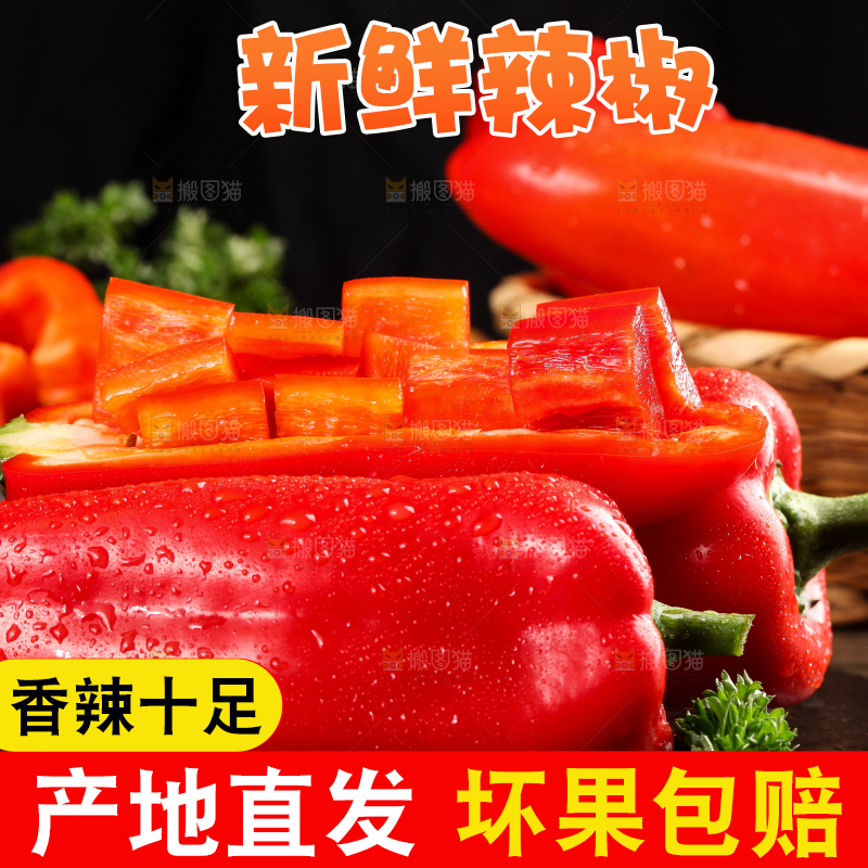 石板上的山东红辣椒
