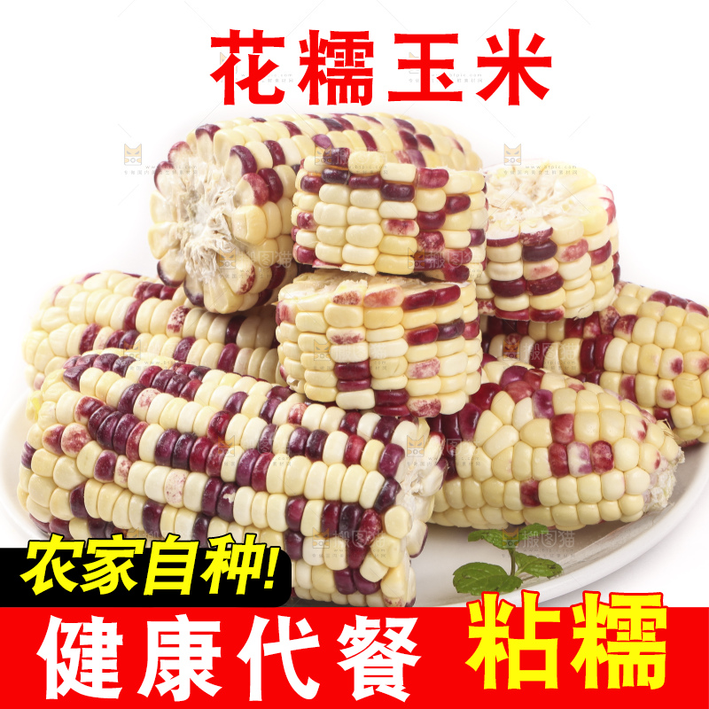 白底上放着一盘糯玉米